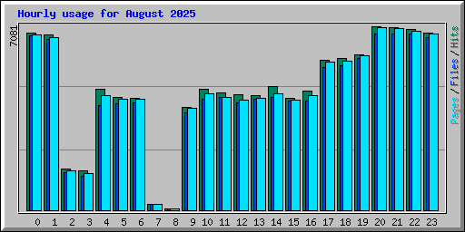 Hourly usage for August 2025